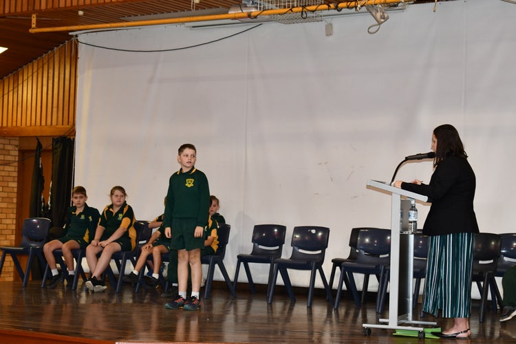 Spelling bee - Primary